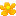 黄色い花
