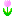 チューリップピンク