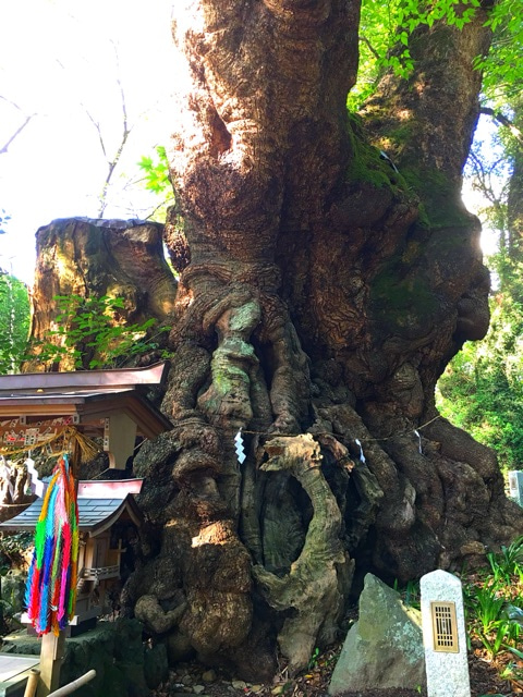 {2D47ED8A-4025-4A3E-8110-D1627C0F0A45}